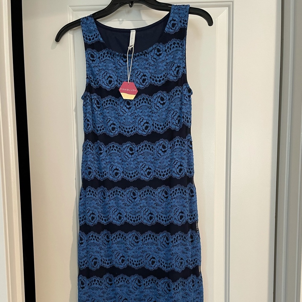 PinkBlush Maternity Blue Lace Striped Dress, Small